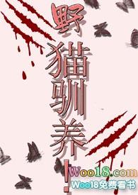 野猫驯养结局