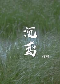 沉鸢by结因txt