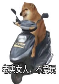 老实的女生和不老实的女生