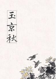 玉京谣全文免费阅读