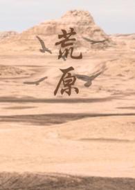 荒原无删减