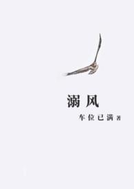 溺风txt百度资源