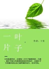 一片叶子(np h)